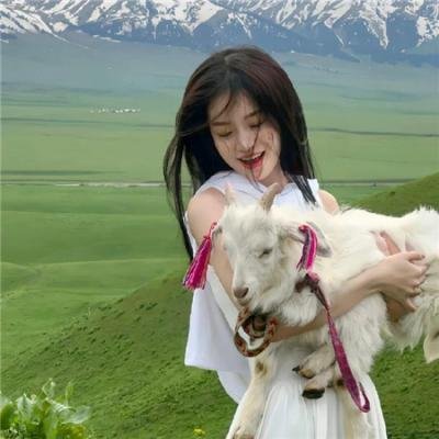 我爱我家 在线观看